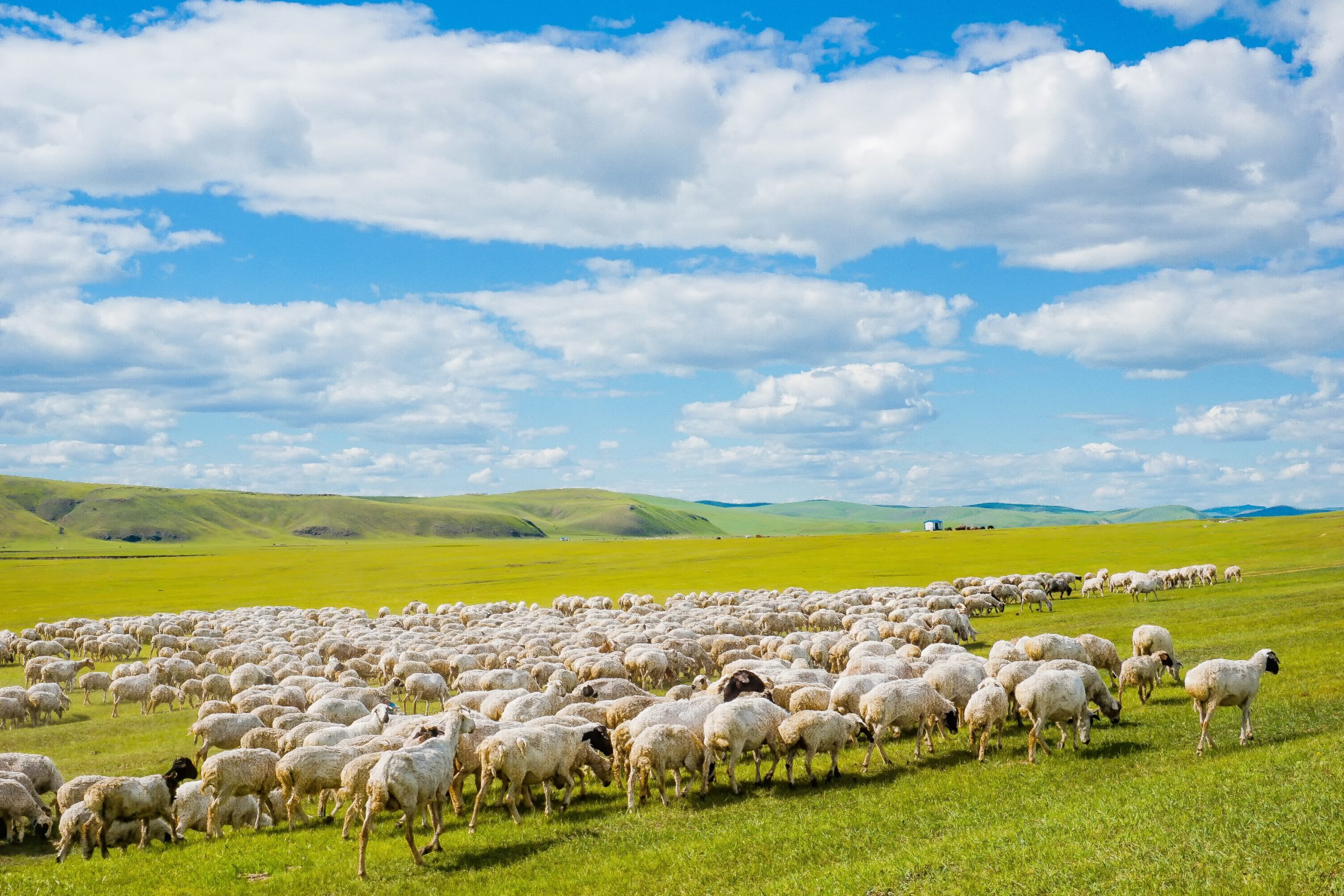 呼伦贝尔: 不可错过的辽阔草原和兴安秋色-麦享科技